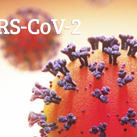 Usługi dezynfekcji koronawirusa